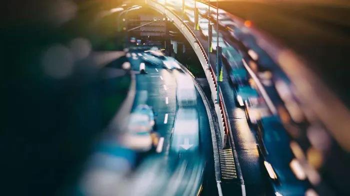 林鳳裝飾孝心金 林鳳裝飾孝心金